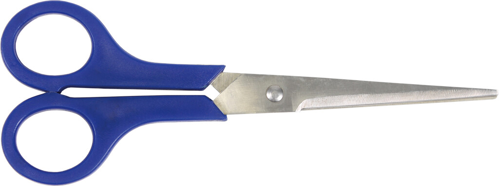 Cyclus schaar RVS